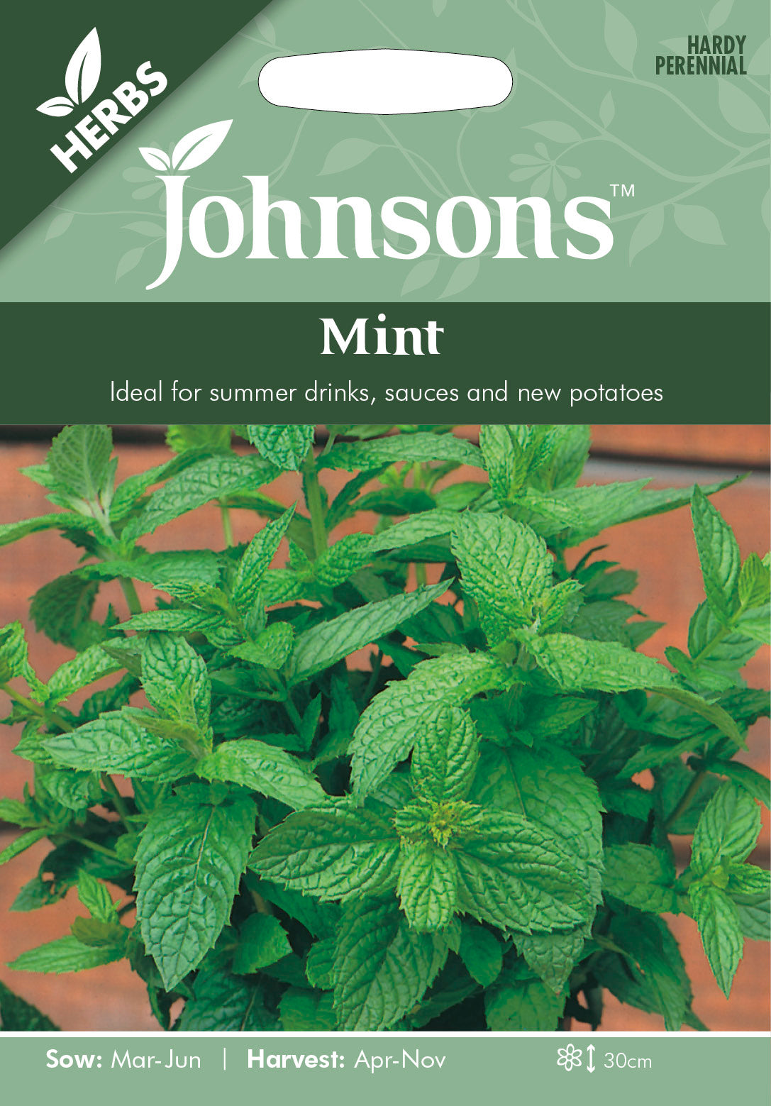 MINT