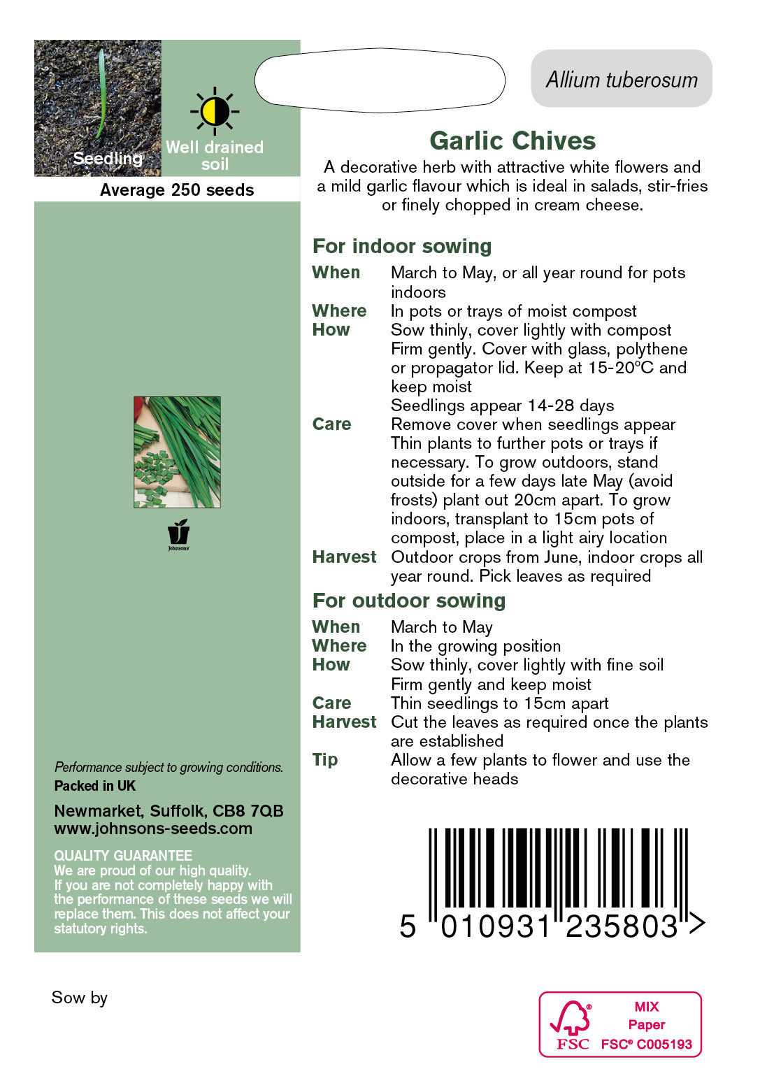GARLIC CHIVES