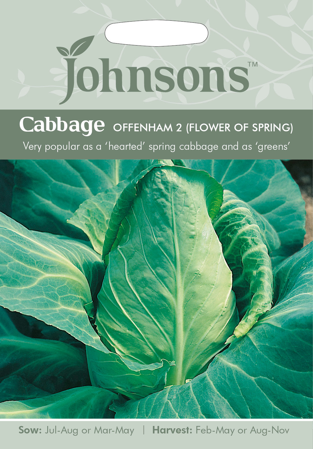 CABBAGE Offenham 2 (Flower of Spring)