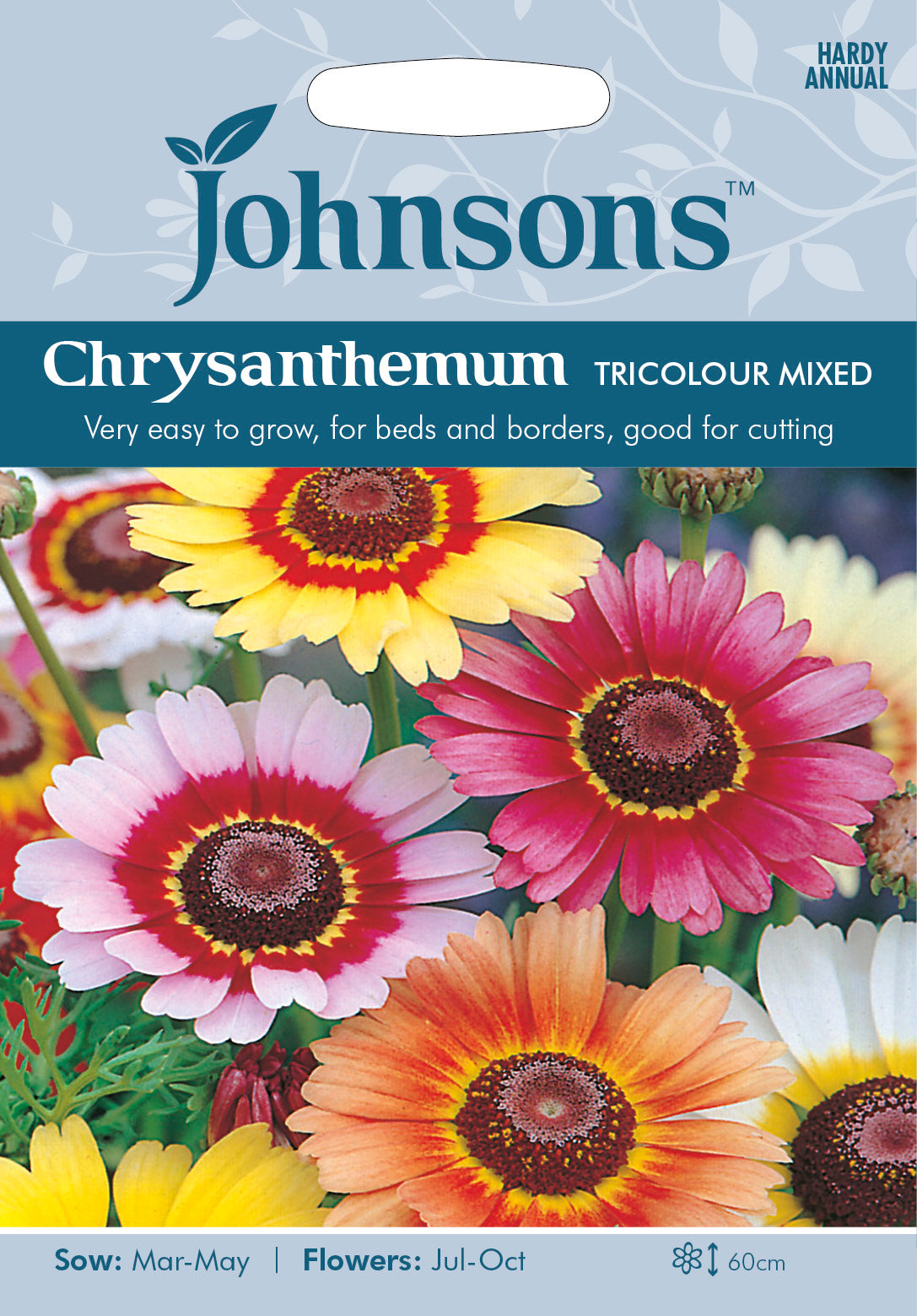 CHRYSANTHEMUM Tricolour Mixed