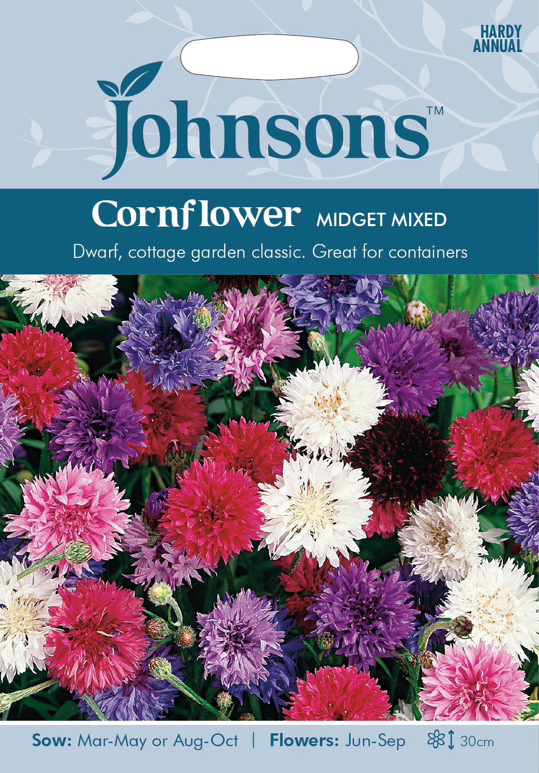CORNFLOWER Midget Mixed