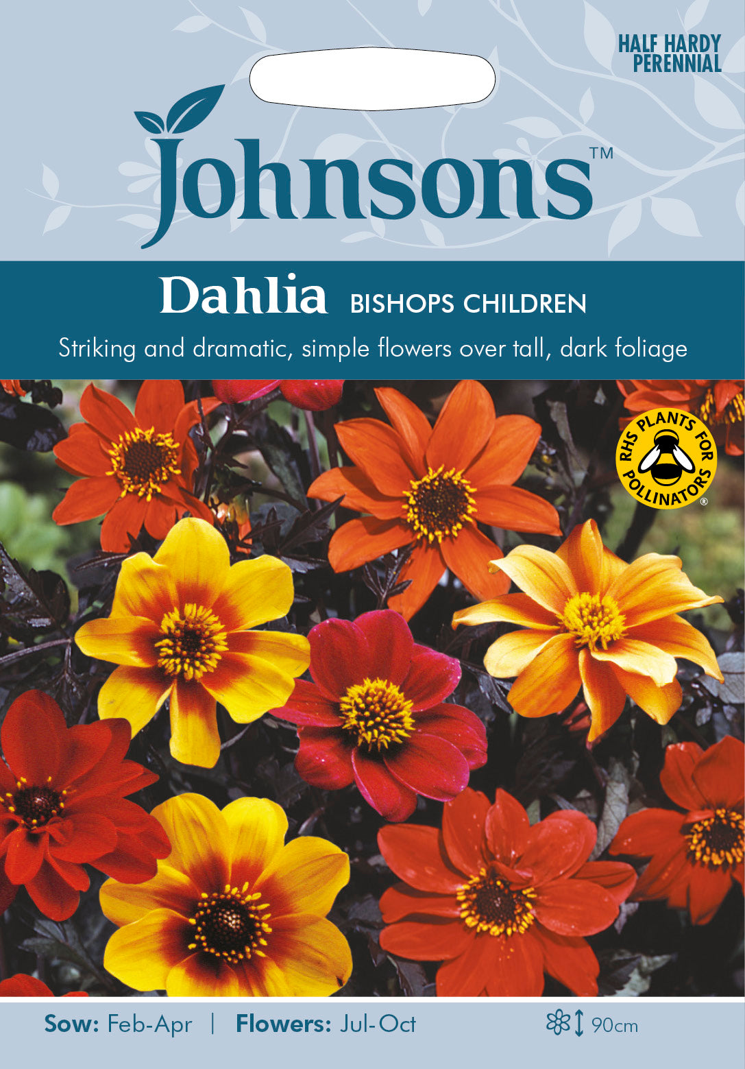 DAHLIA Bishops Children