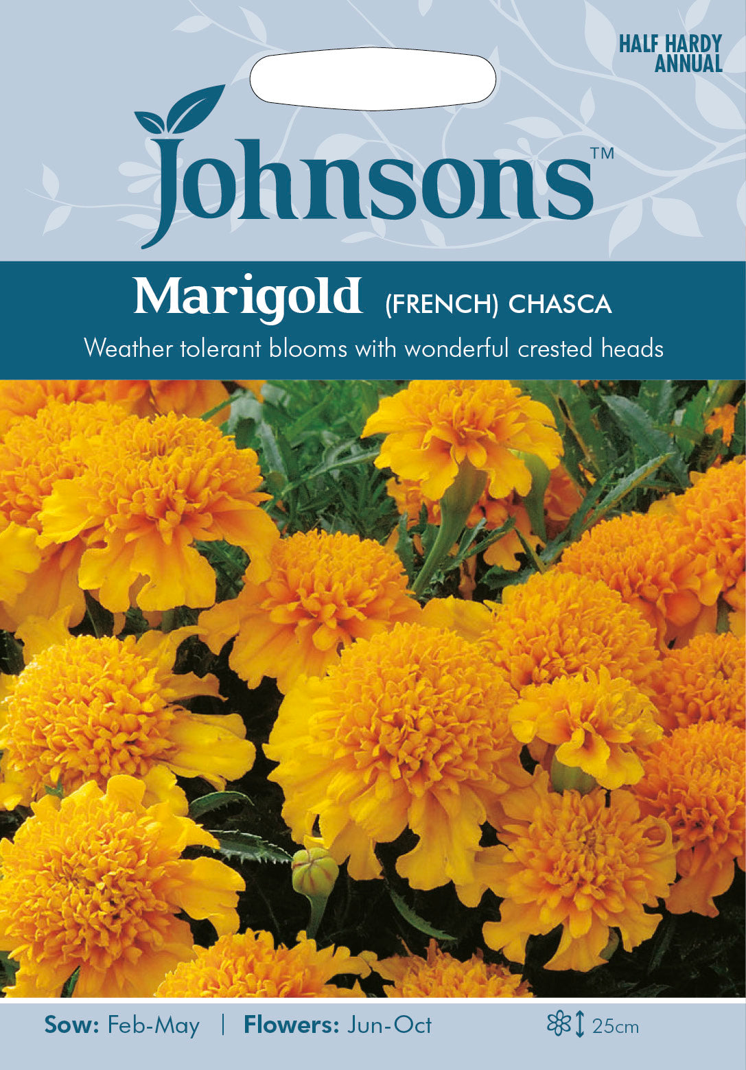 MARIGOLD (French) Chasca