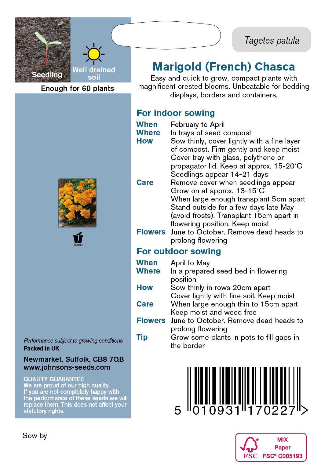 MARIGOLD (French) Chasca