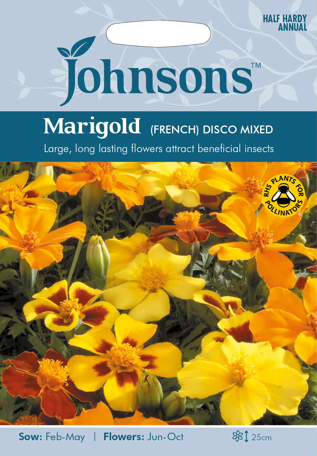 MARIGOLD (French) Disco Mixed