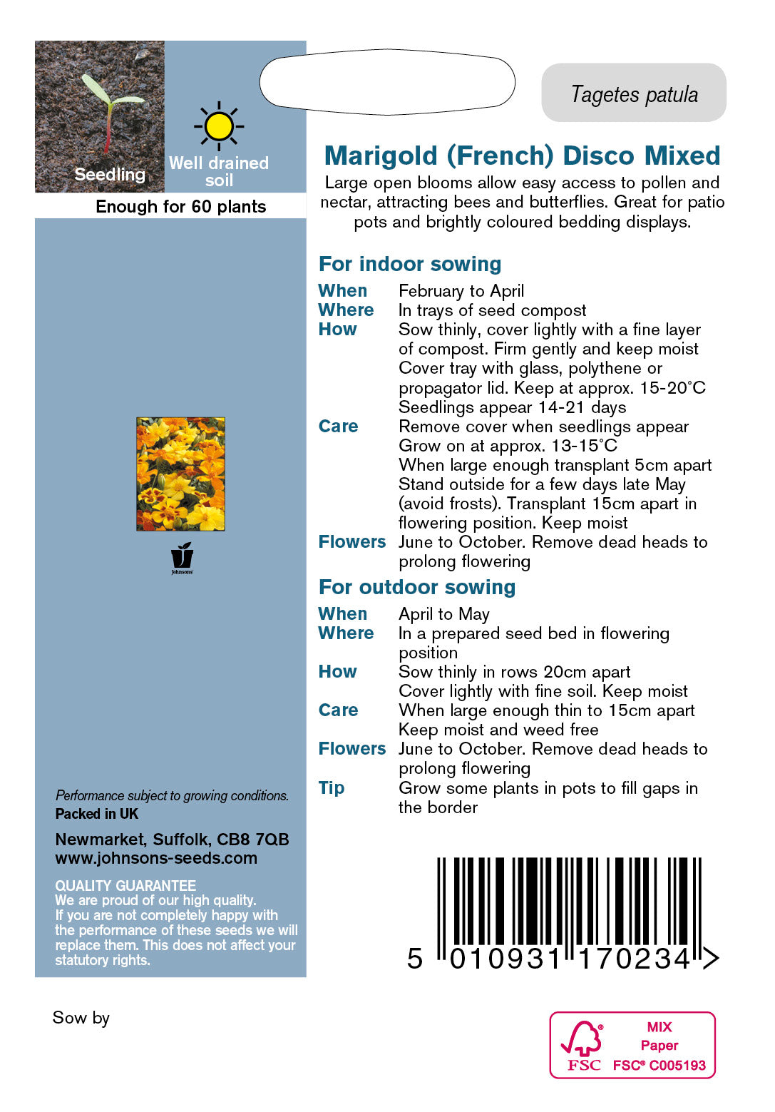MARIGOLD (French) Disco Mixed