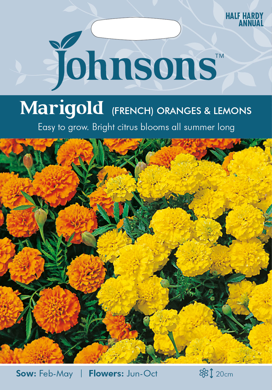 MARIGOLD (French) Oranges and Lemons