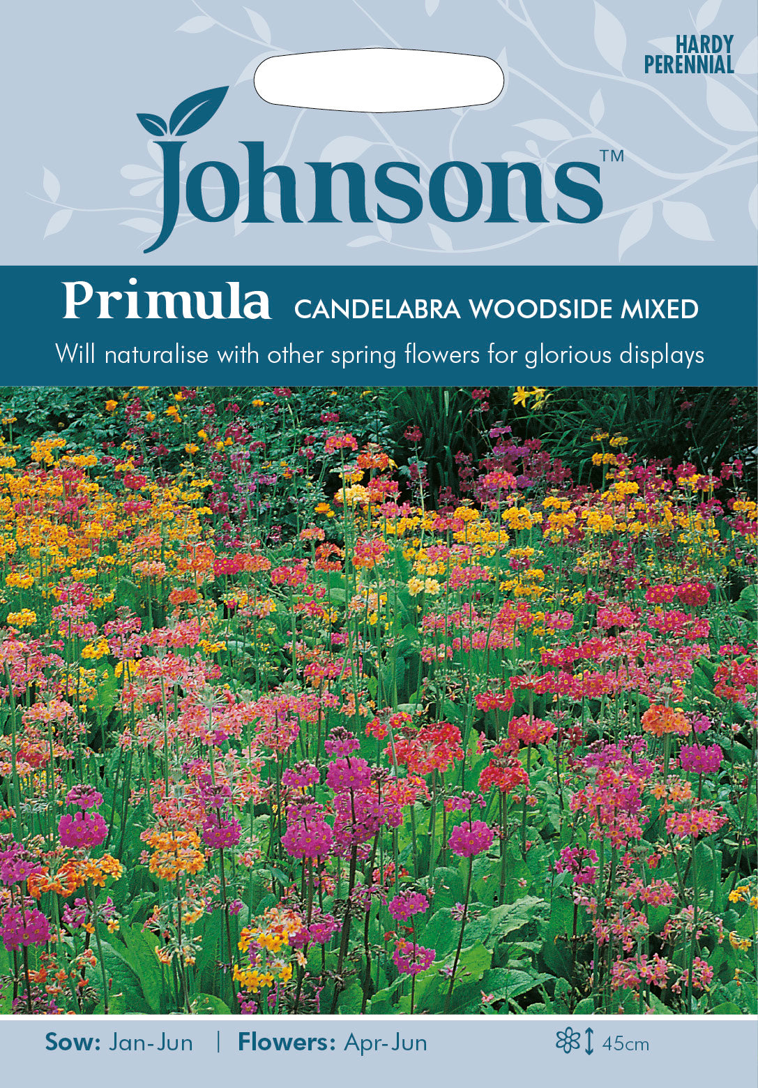 PRIMULA Candelabra Woodside Mixed