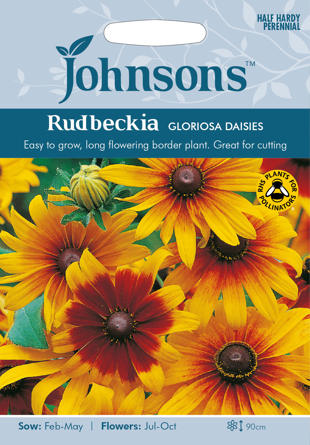 RUDBECKIA Gloriosa Daisies