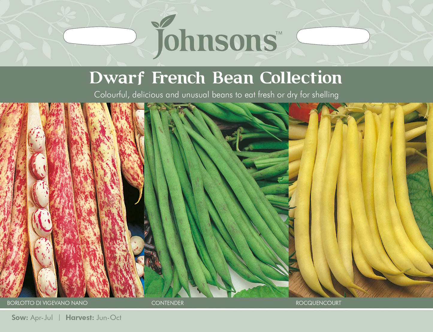DWARF FRENCH BEAN COLLECTION