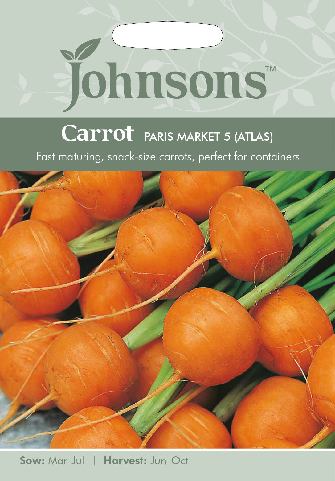 CARROT Paris Market 5 (Atlas)