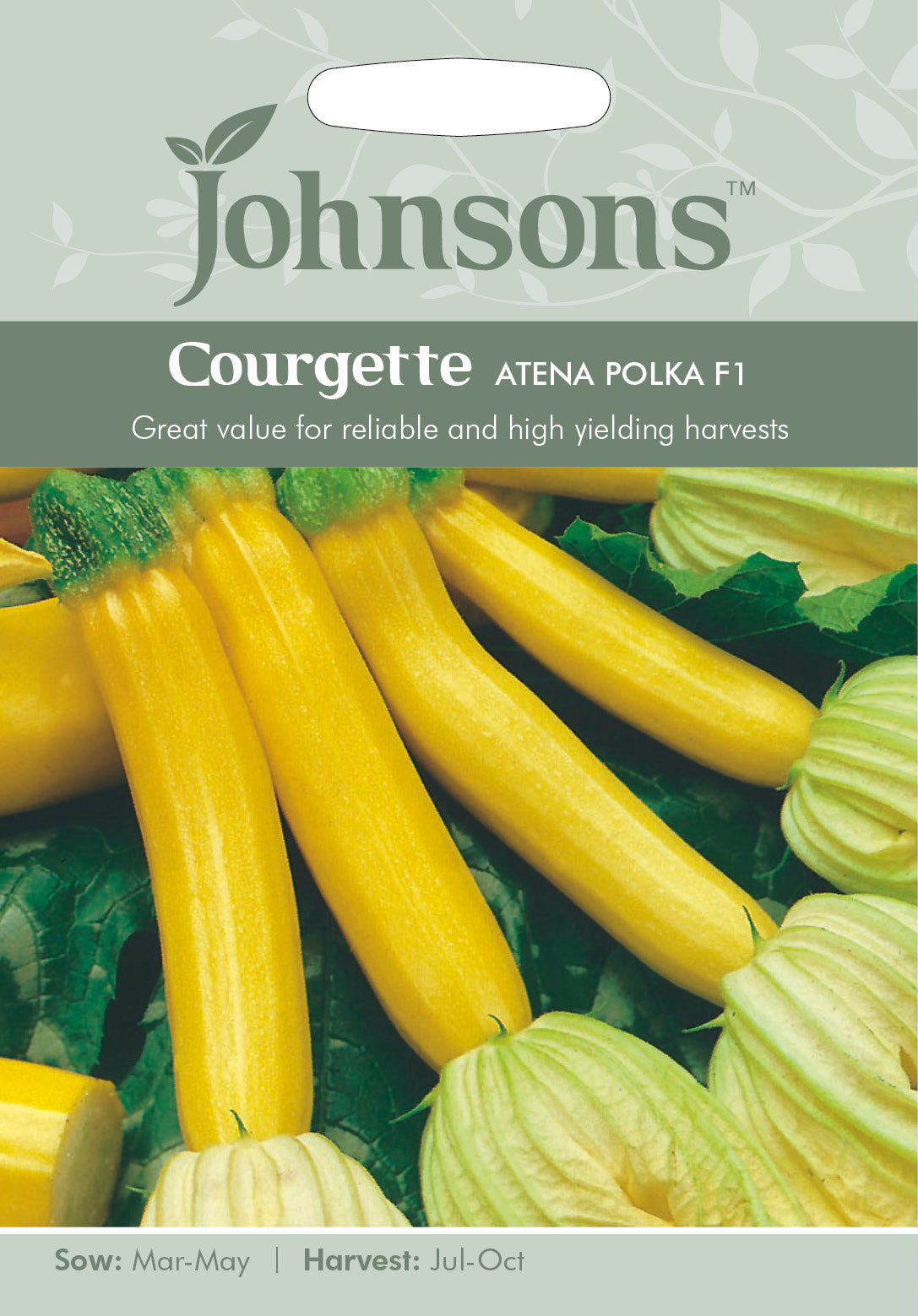 COURGETTE Atena Polka F1