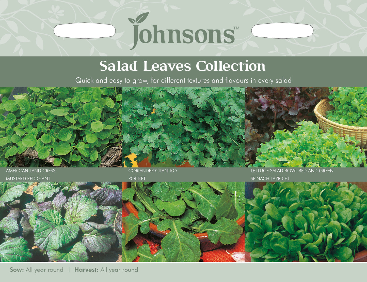 SALAD LEAVES COLLECTION