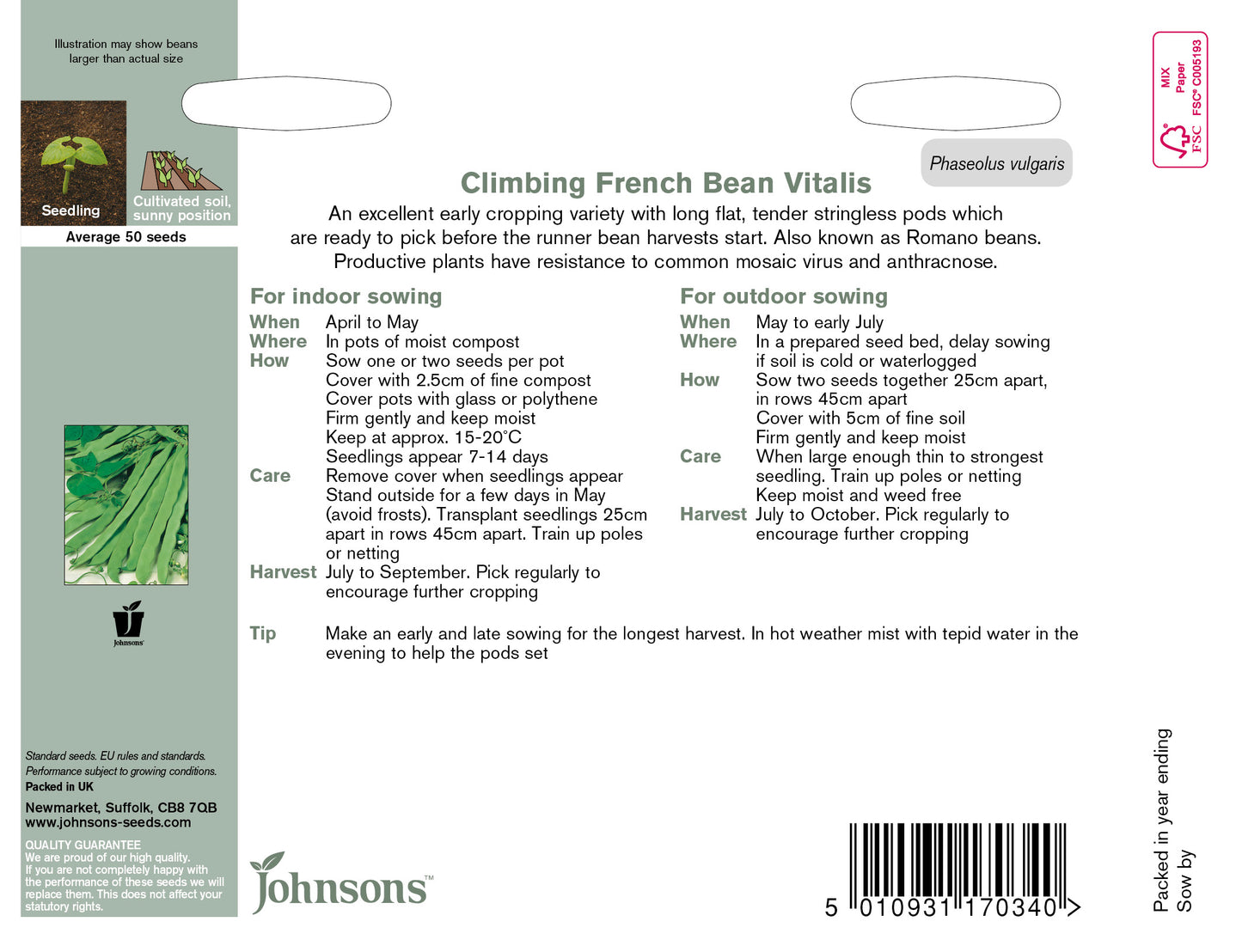 CLIMBING FRENCH BEAN Vitalis