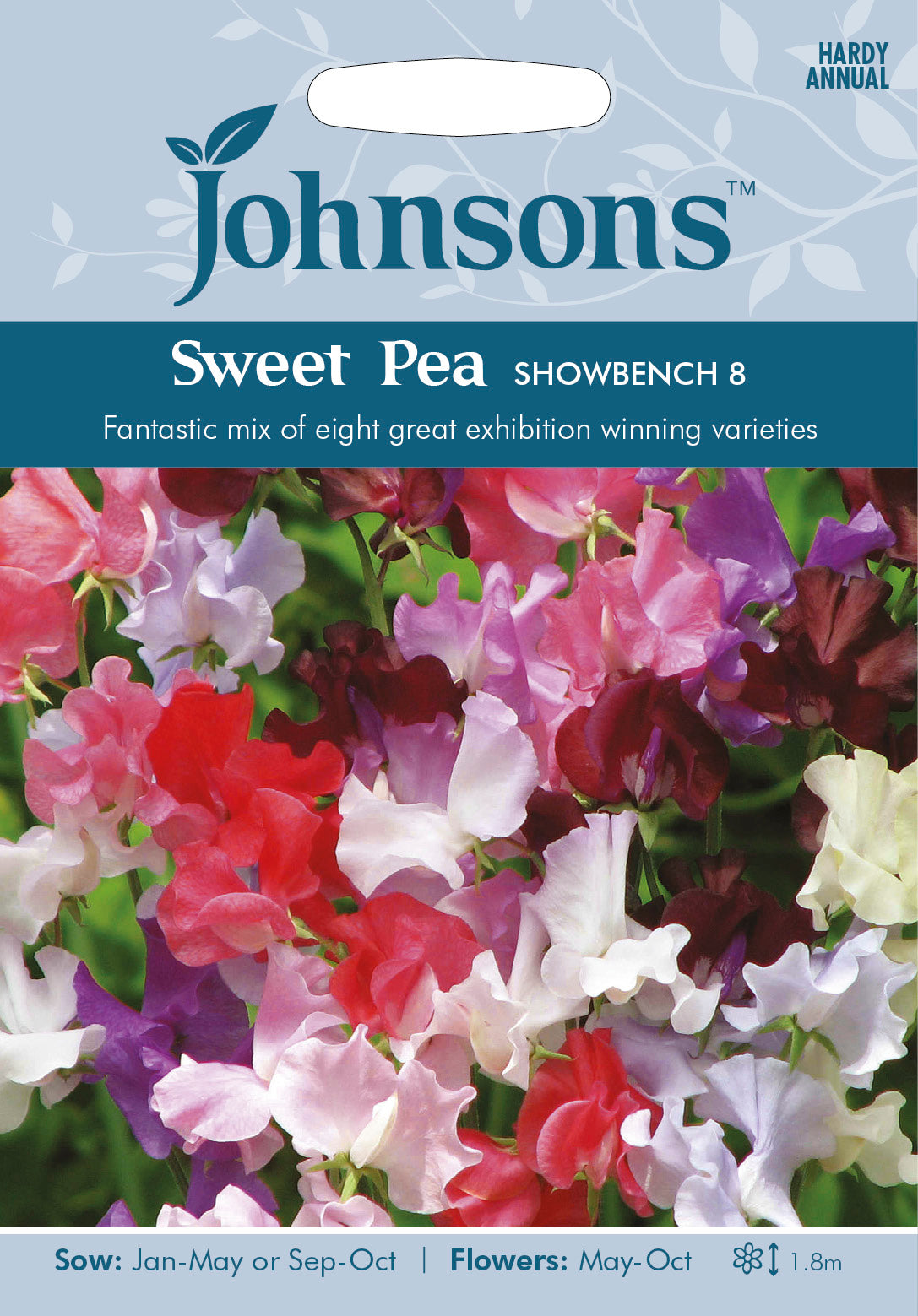 SWEET PEA Showbench 8
