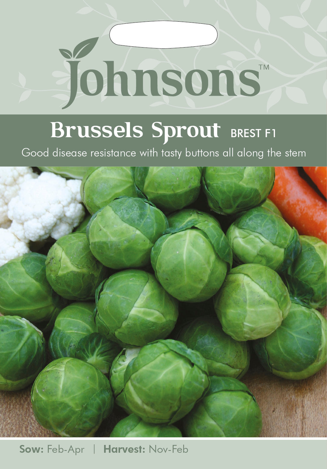 BRUSSELS SPROUT Brest F1