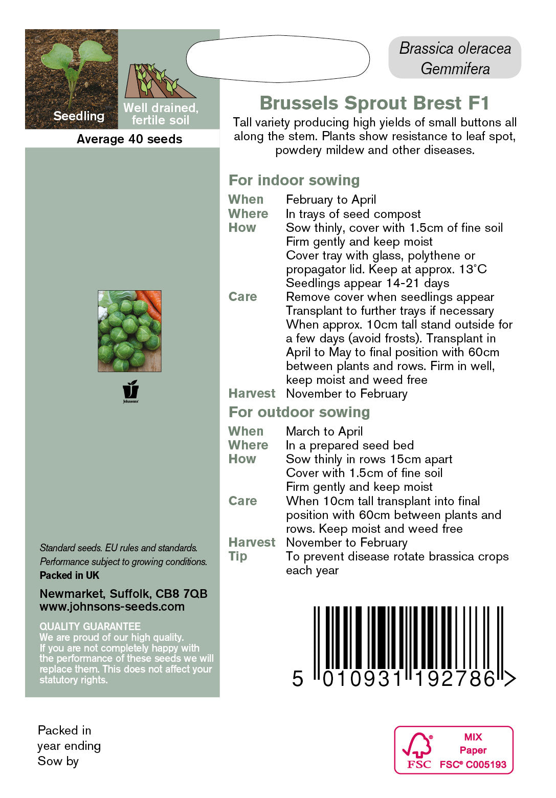 BRUSSELS SPROUT Brest F1