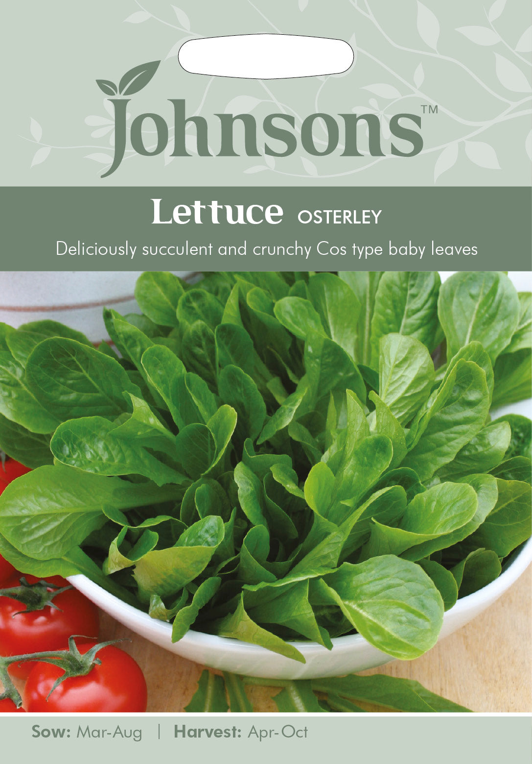 LETTUCE Osterley