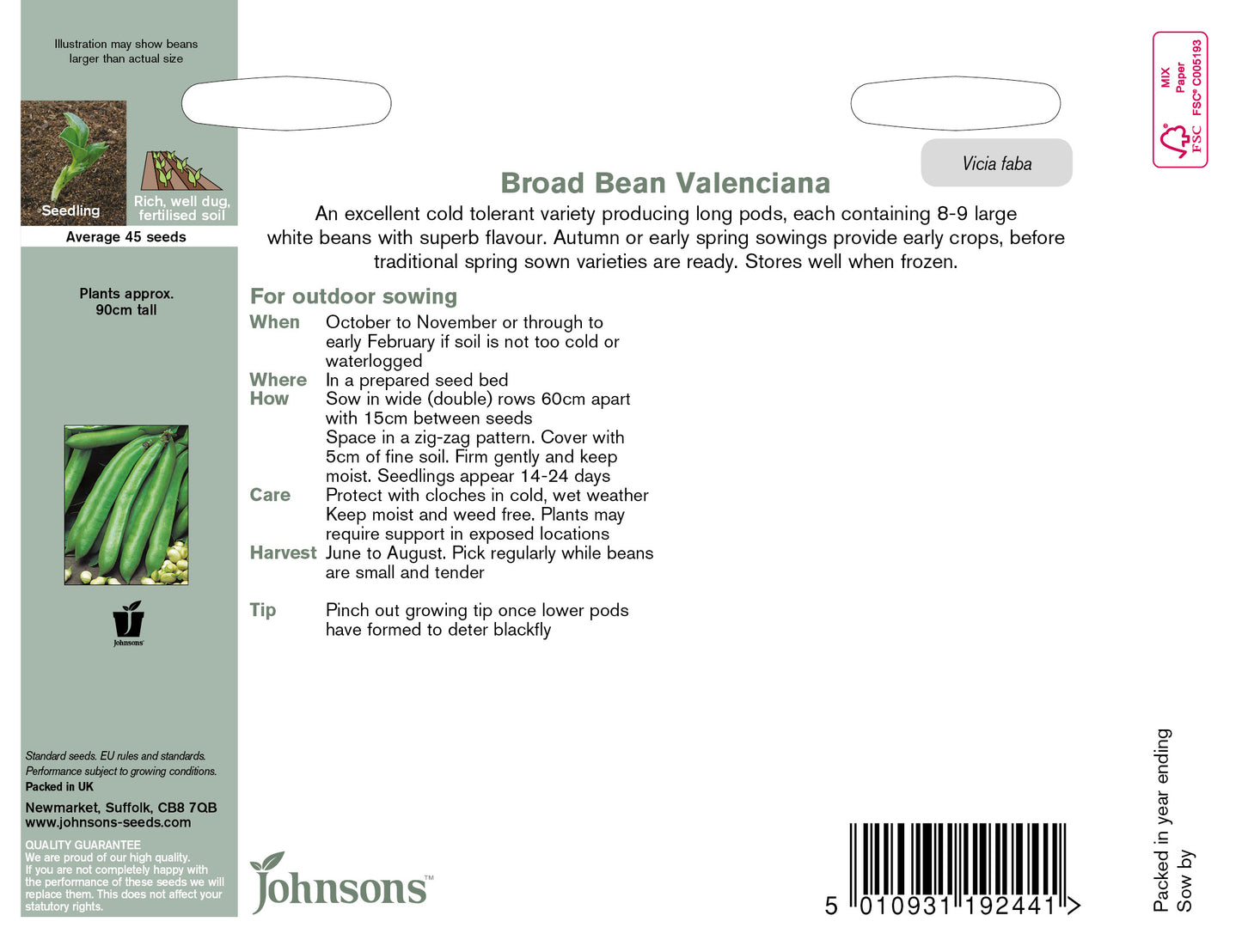 BROAD BEAN Valenciana