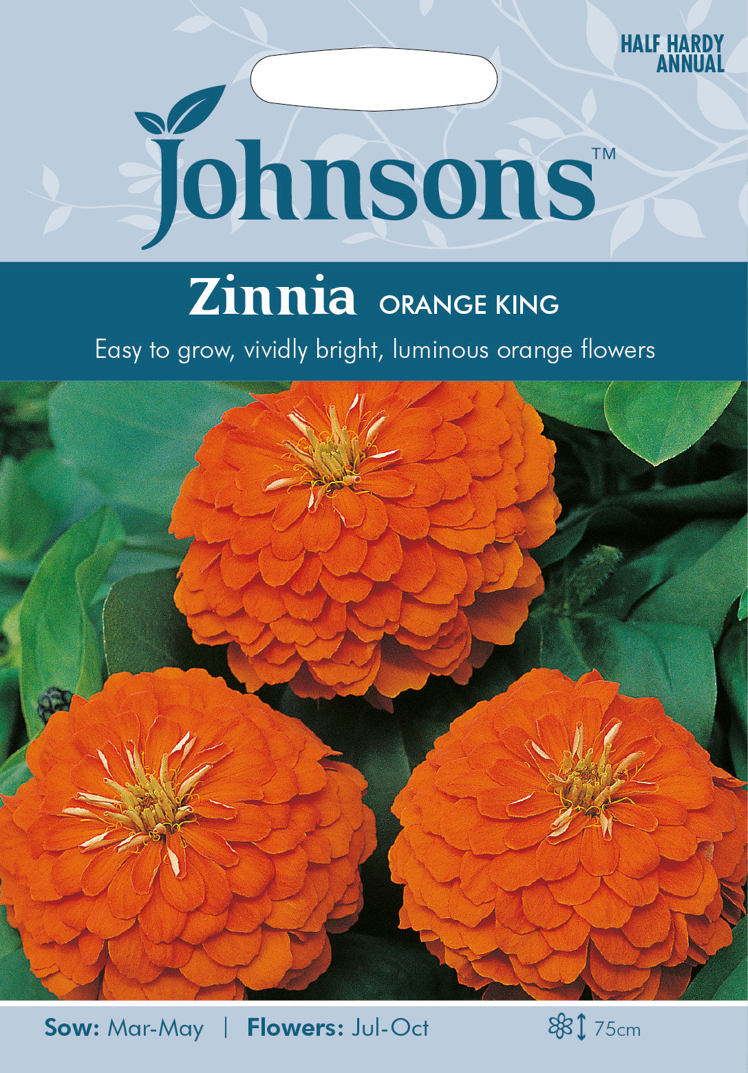 ZINNIA Orange King