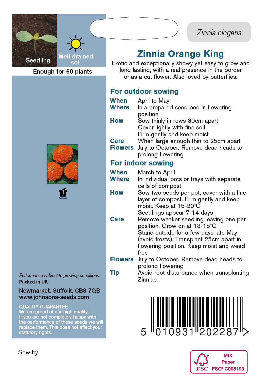 ZINNIA Orange King