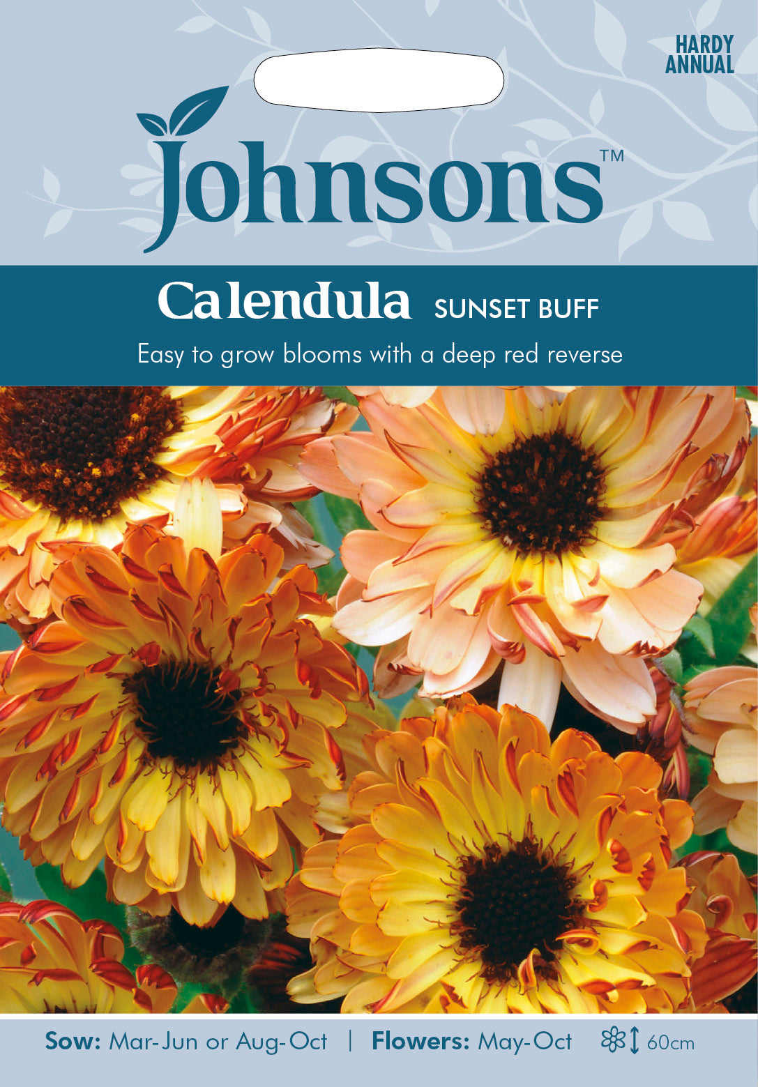 CALENDULA Sunset Buff