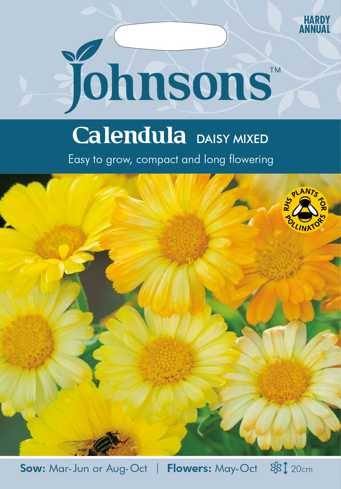 CALENDULA Daisy Mixed