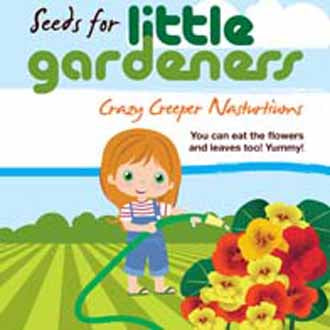 LG CRAZY CREEPER NASTURTIUMS
