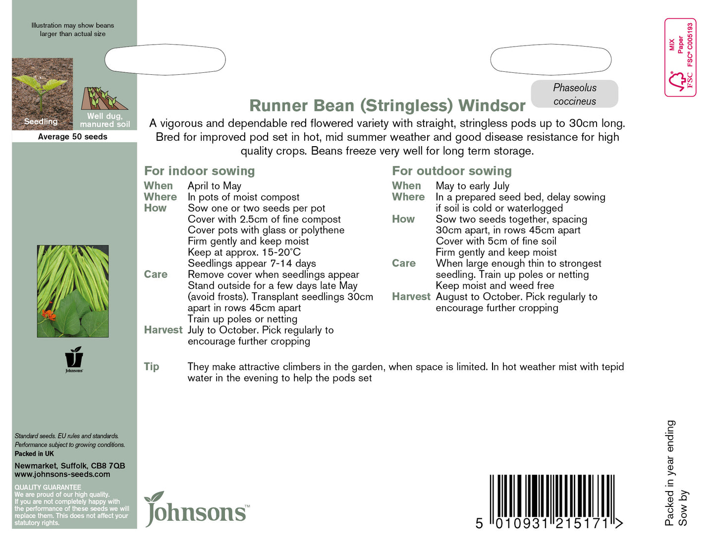 RUNNER BEAN Windsor (Stringless)