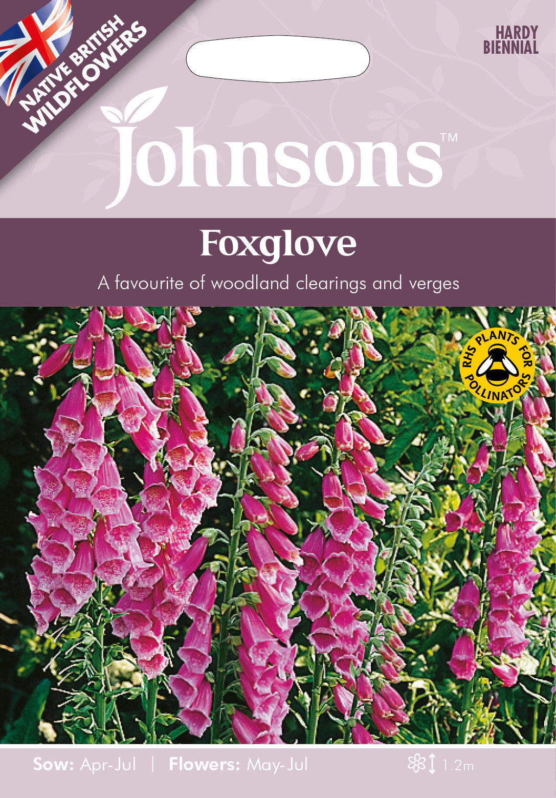 Wildflower Foxglove