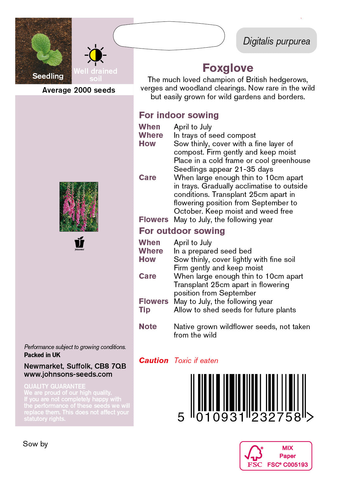 Wildflower Foxglove