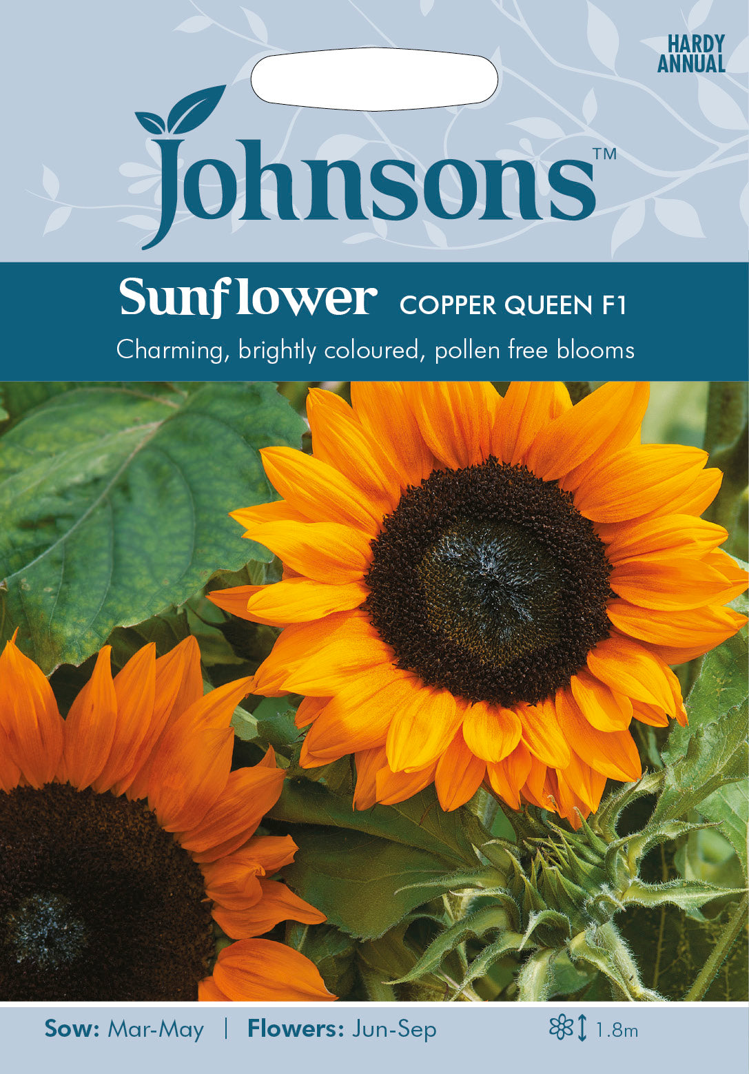 SUNFLOWER Copper Queen F1