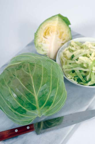 CABBAGE Cabbice F1