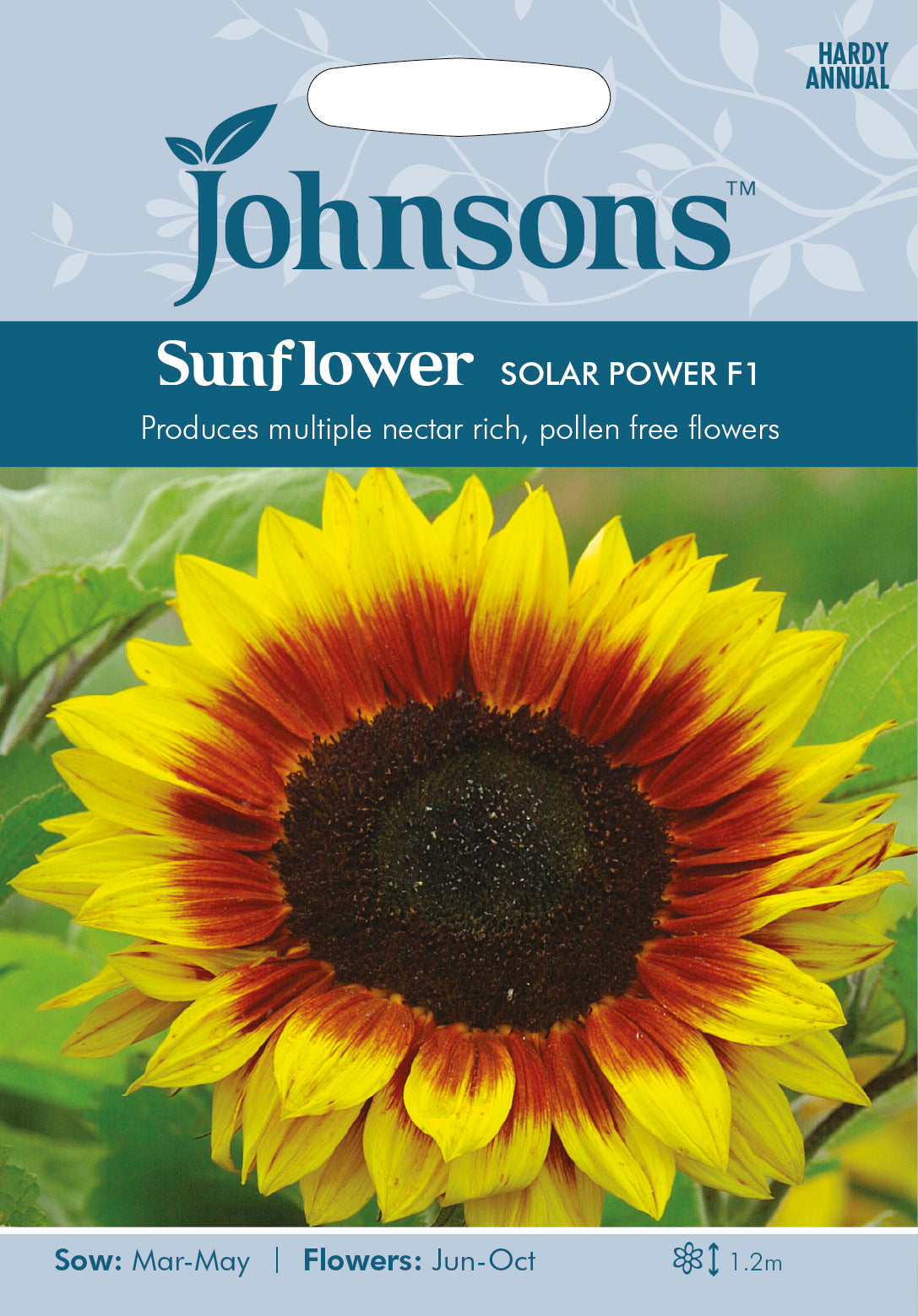 SUNFLOWER Solar Power F1