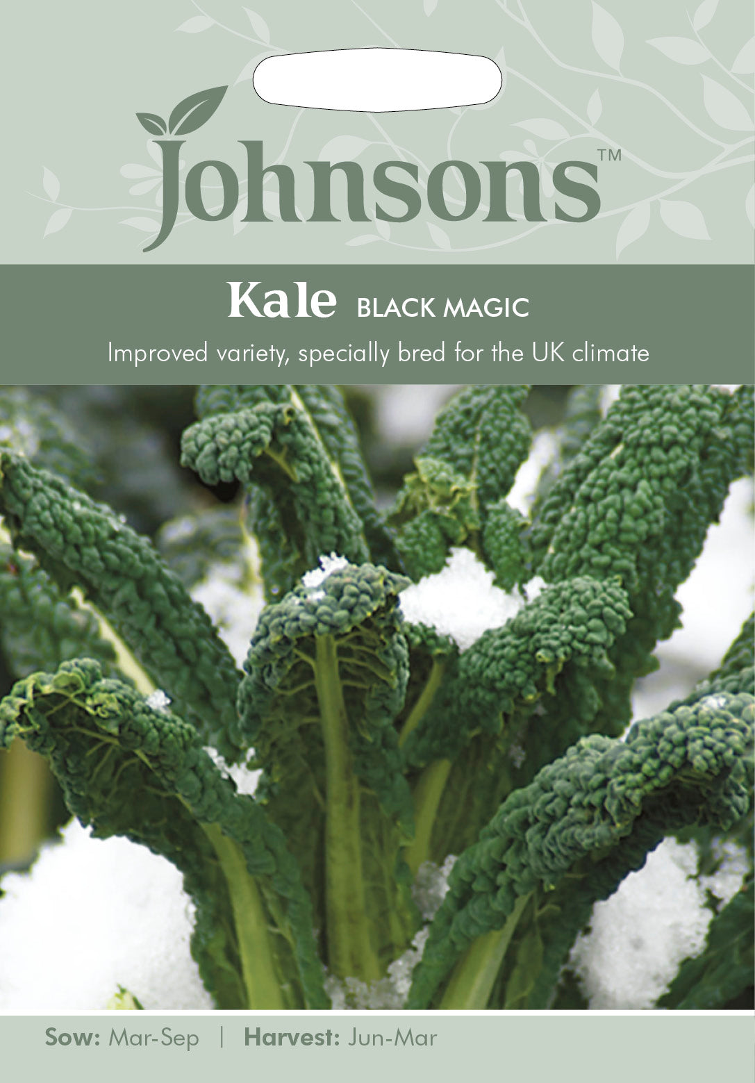 KALE Black Magic