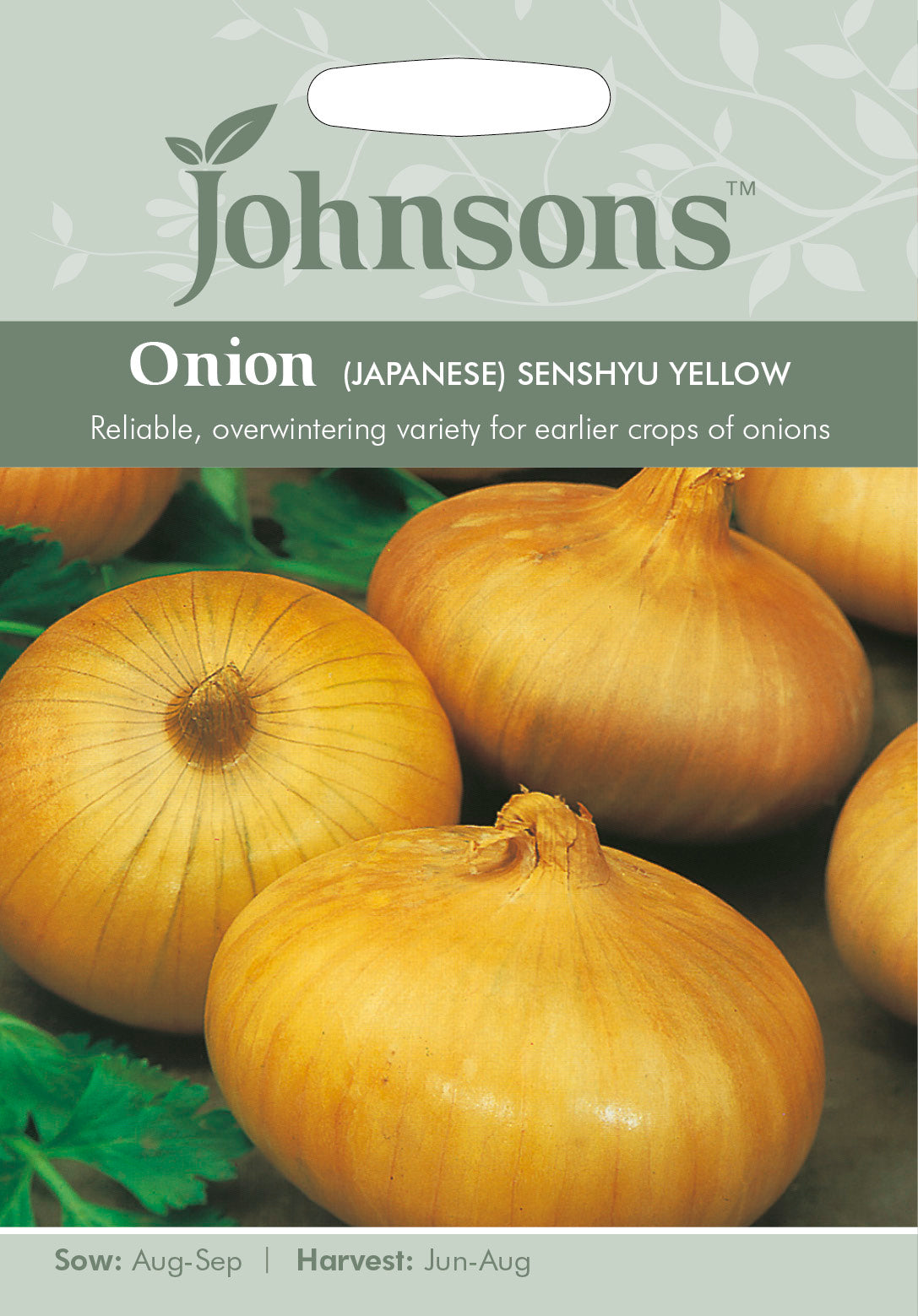 ONION (Japanese) Senshyu Yellow