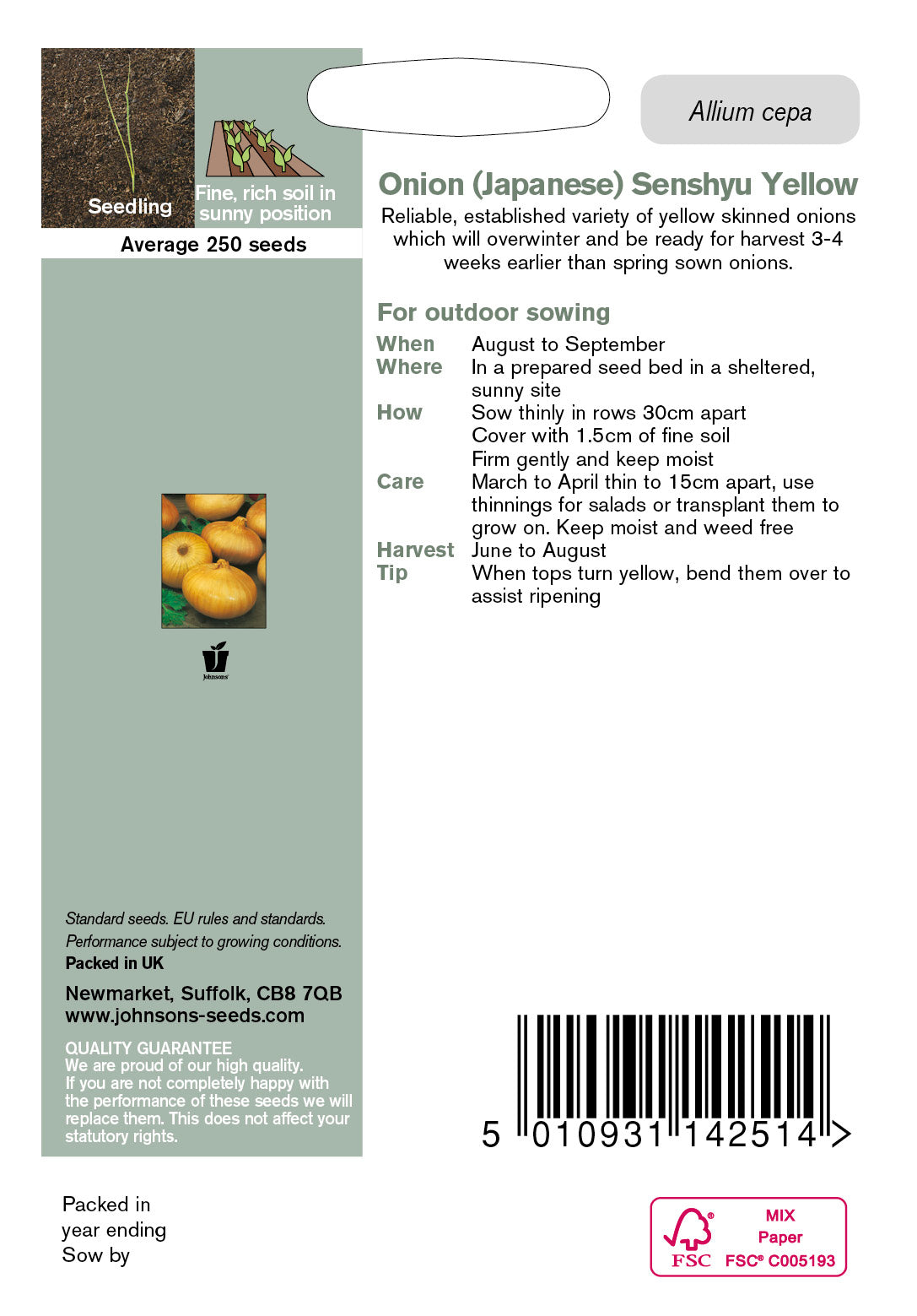 ONION (Japanese) Senshyu Yellow