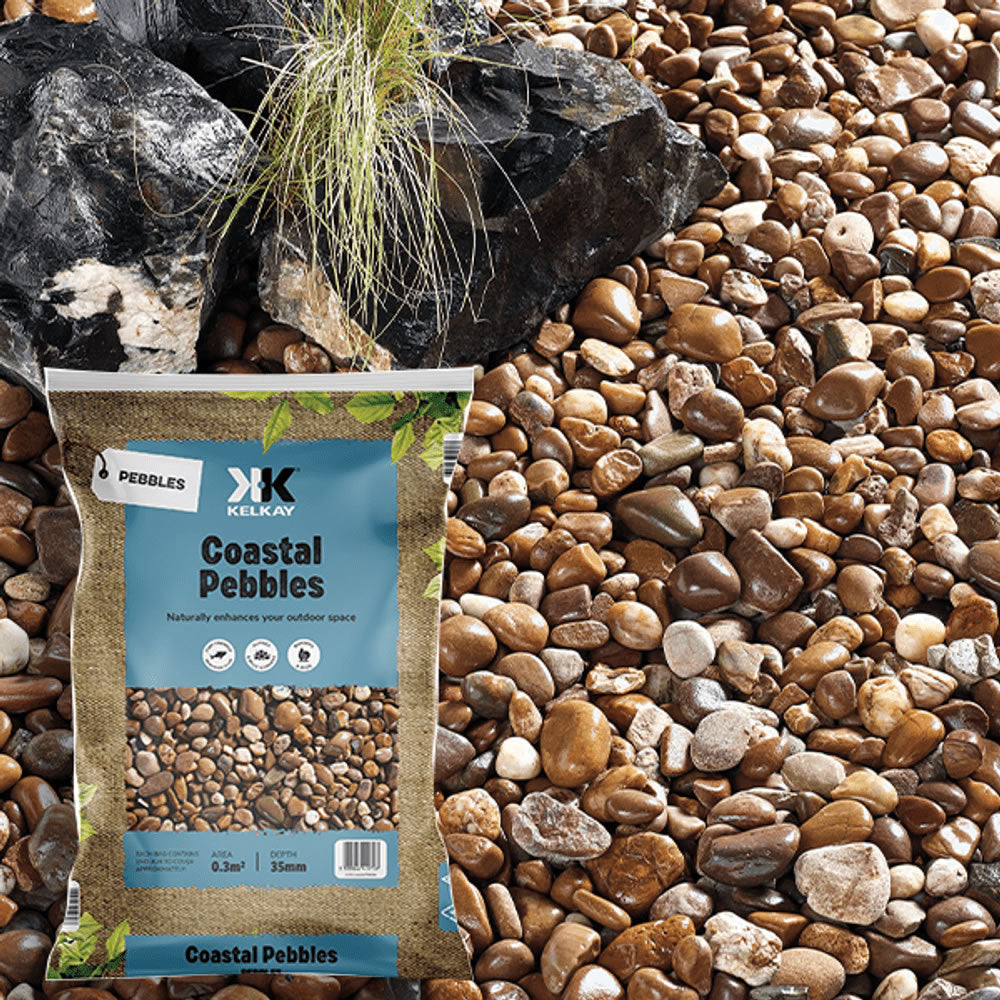 Coastal Pebbles Large Pack