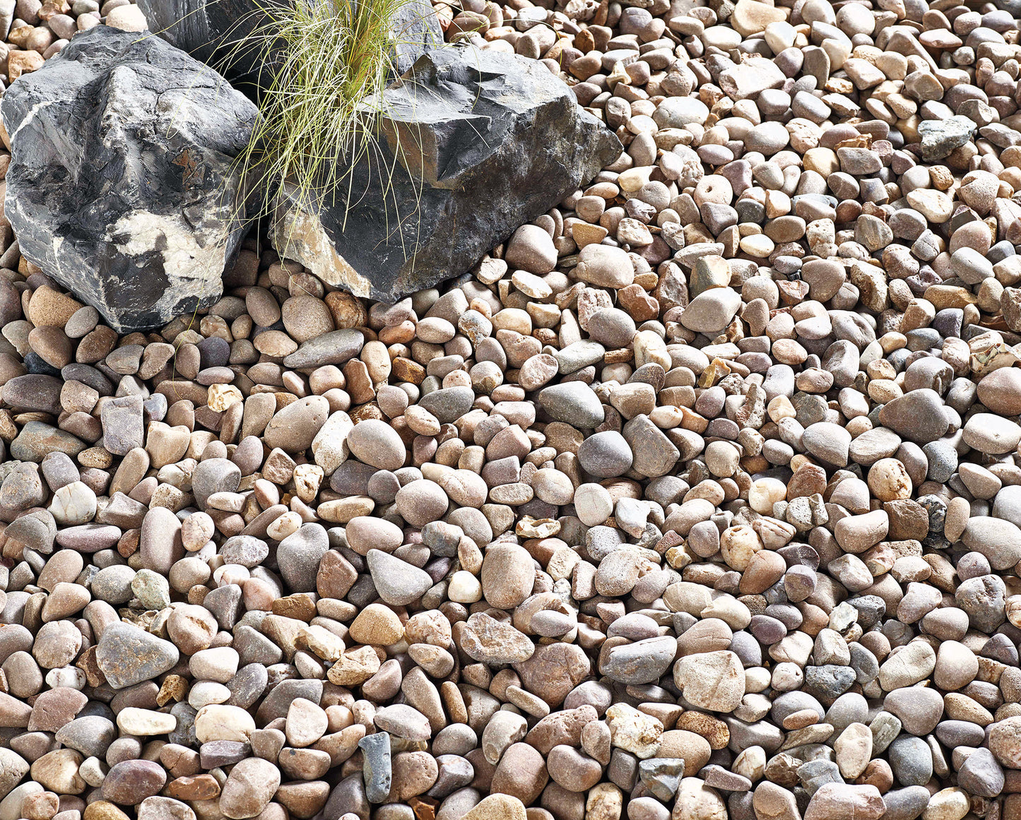 Coastal Pebbles Large Pack