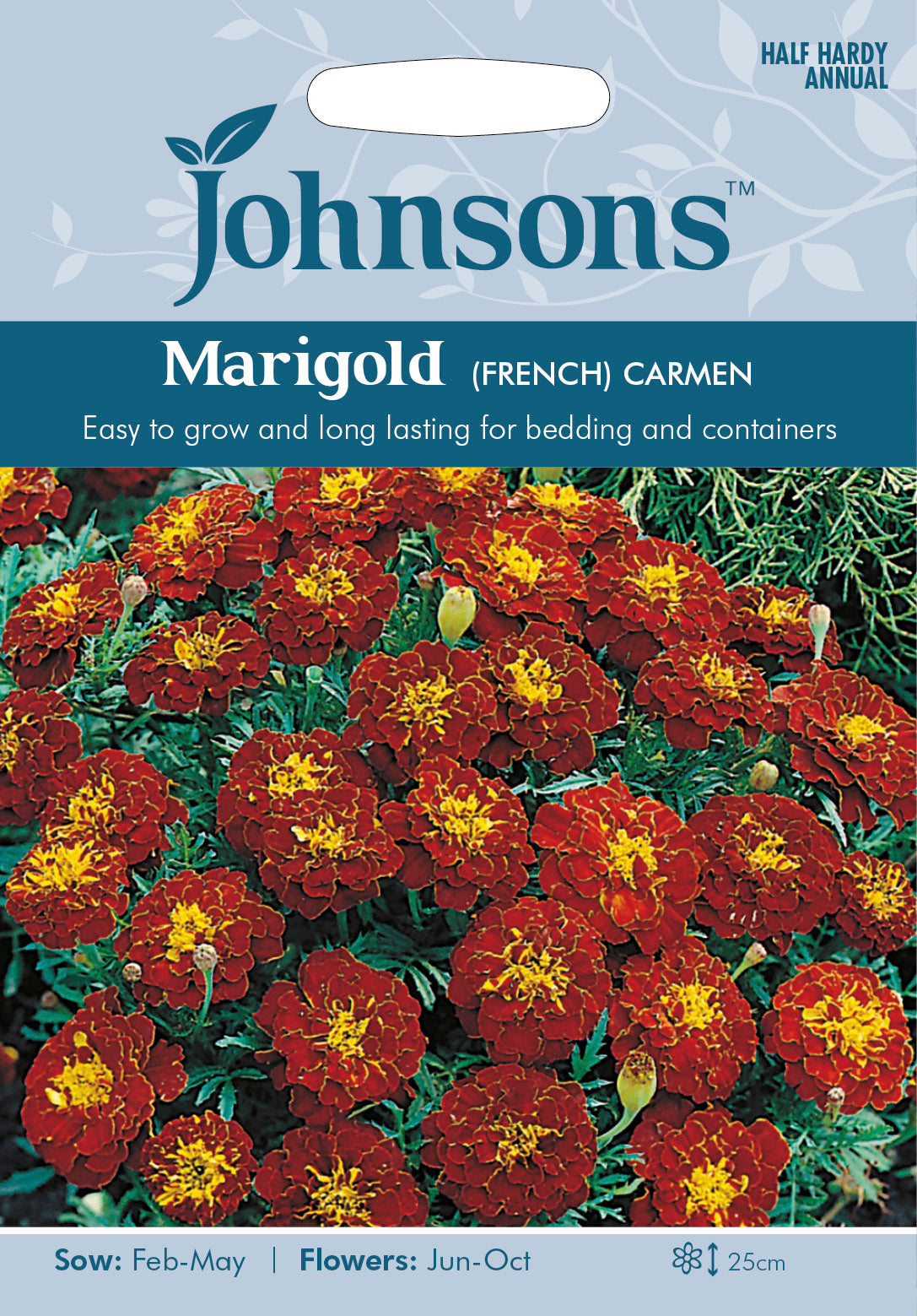 MARIGOLD (French) Carmen