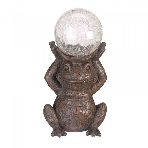 Solar Gazing Frog