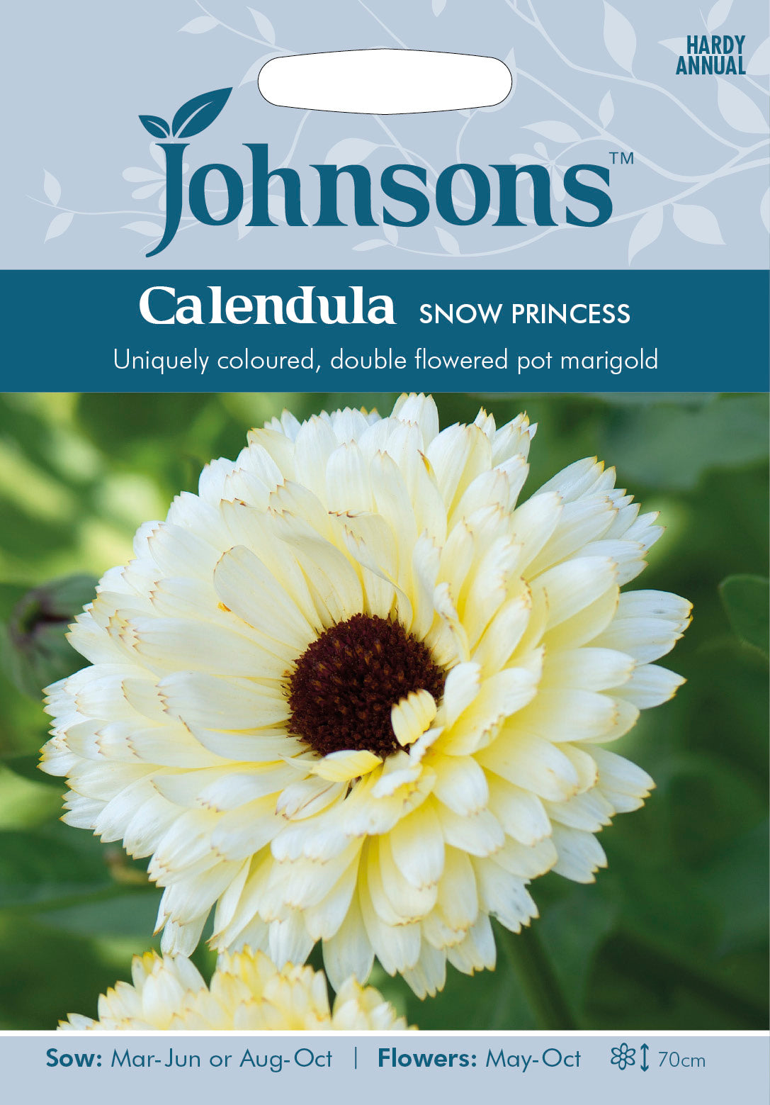 CALENDULA Snow Princess