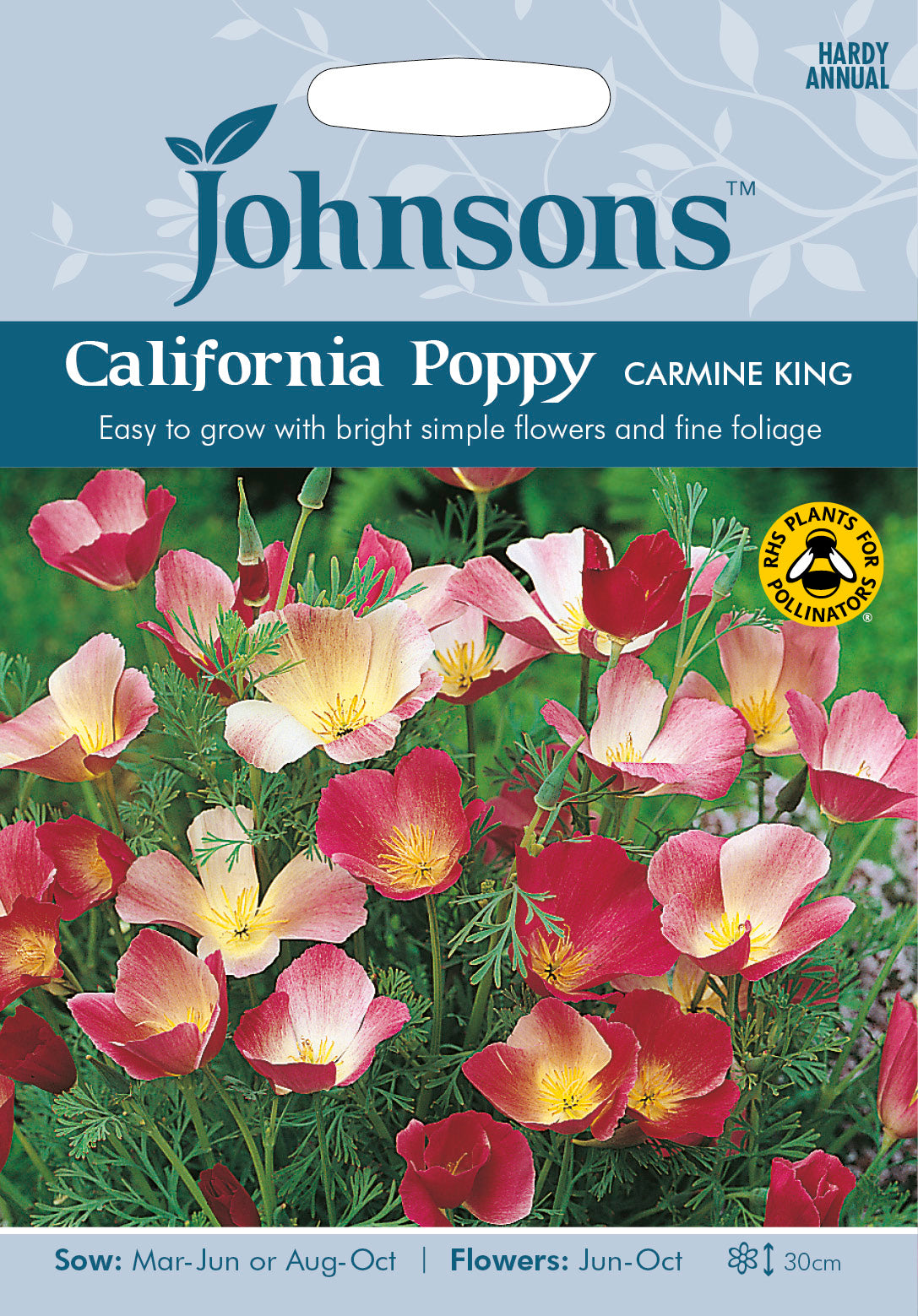 CALIFORNIA POPPY Carmine King