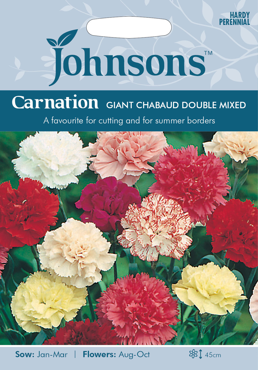 CARNATION Giant Chabaud Double Mixed