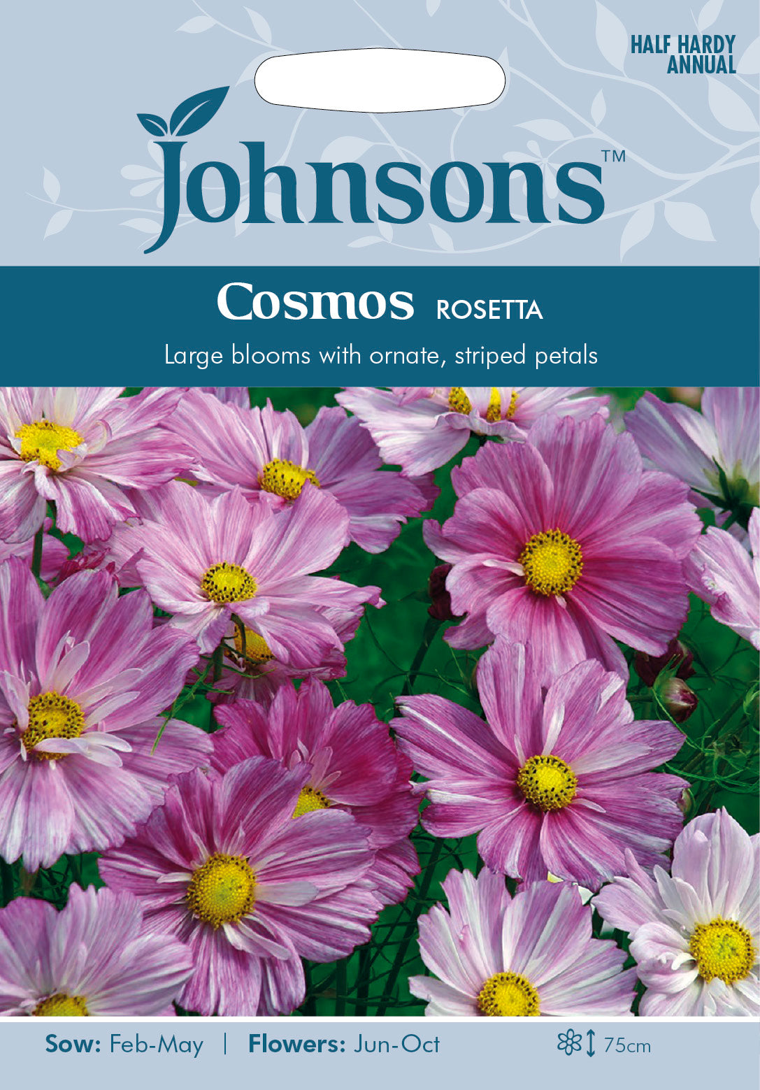 COSMOS Rosetta