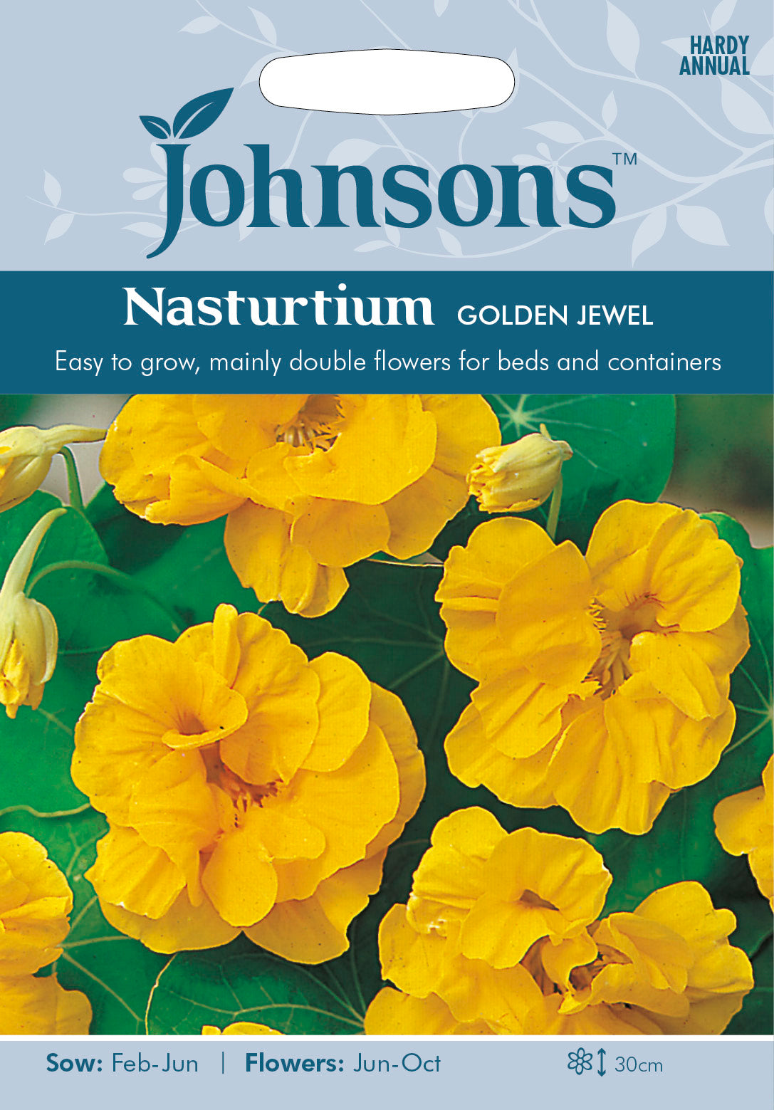 NASTURTIUM Golden Jewel
