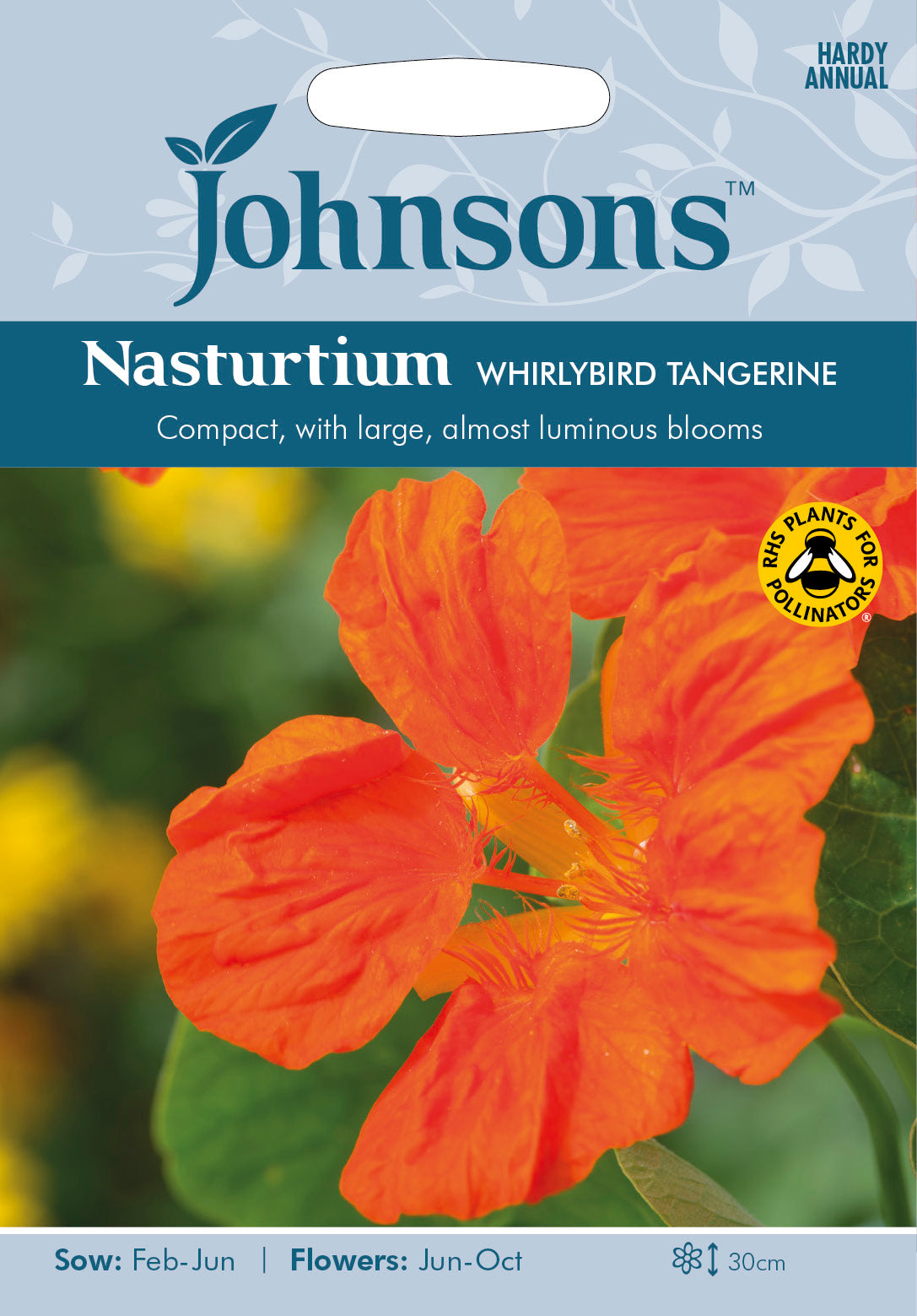 NASTURTIUM Whirlybird Tangerine