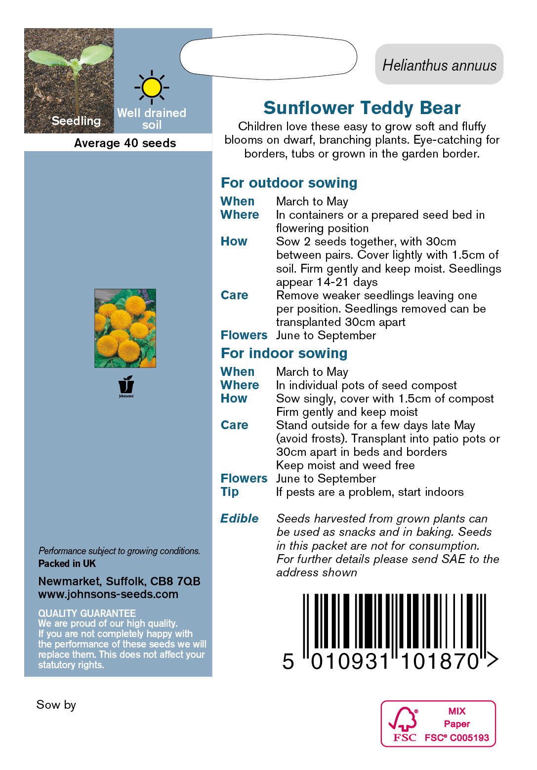 SUNFLOWER Teddy Bear