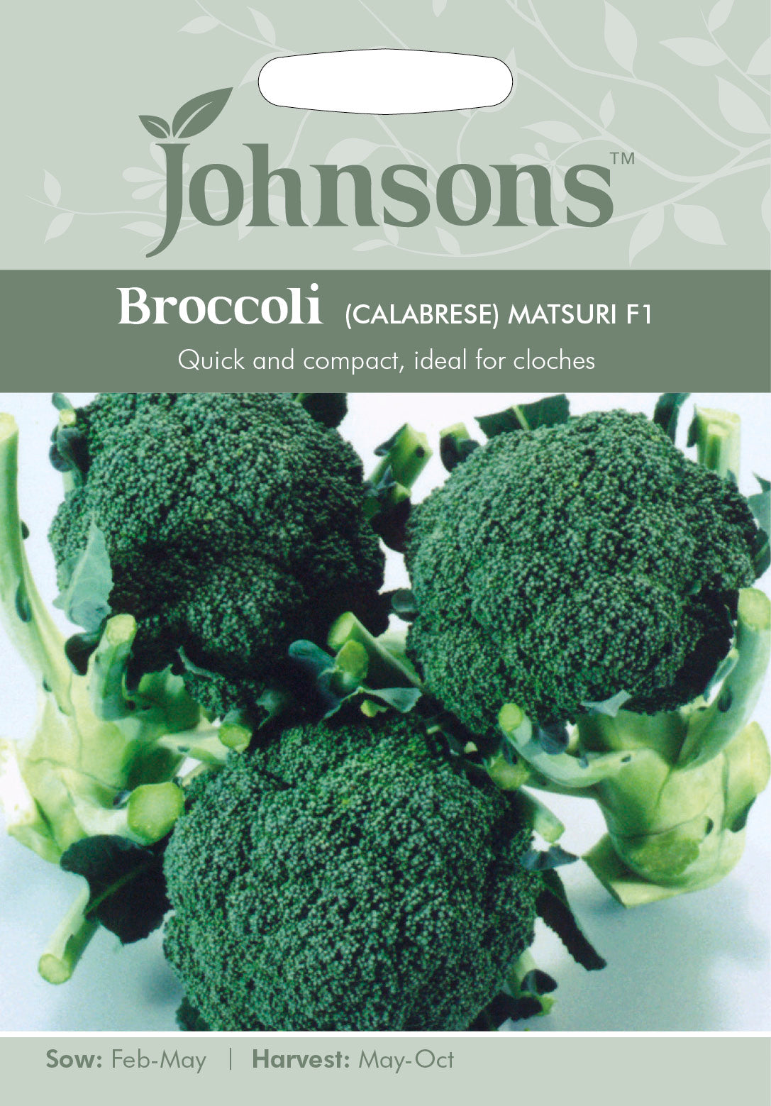 BROCCOLI (Calabrese) Matsuri F1