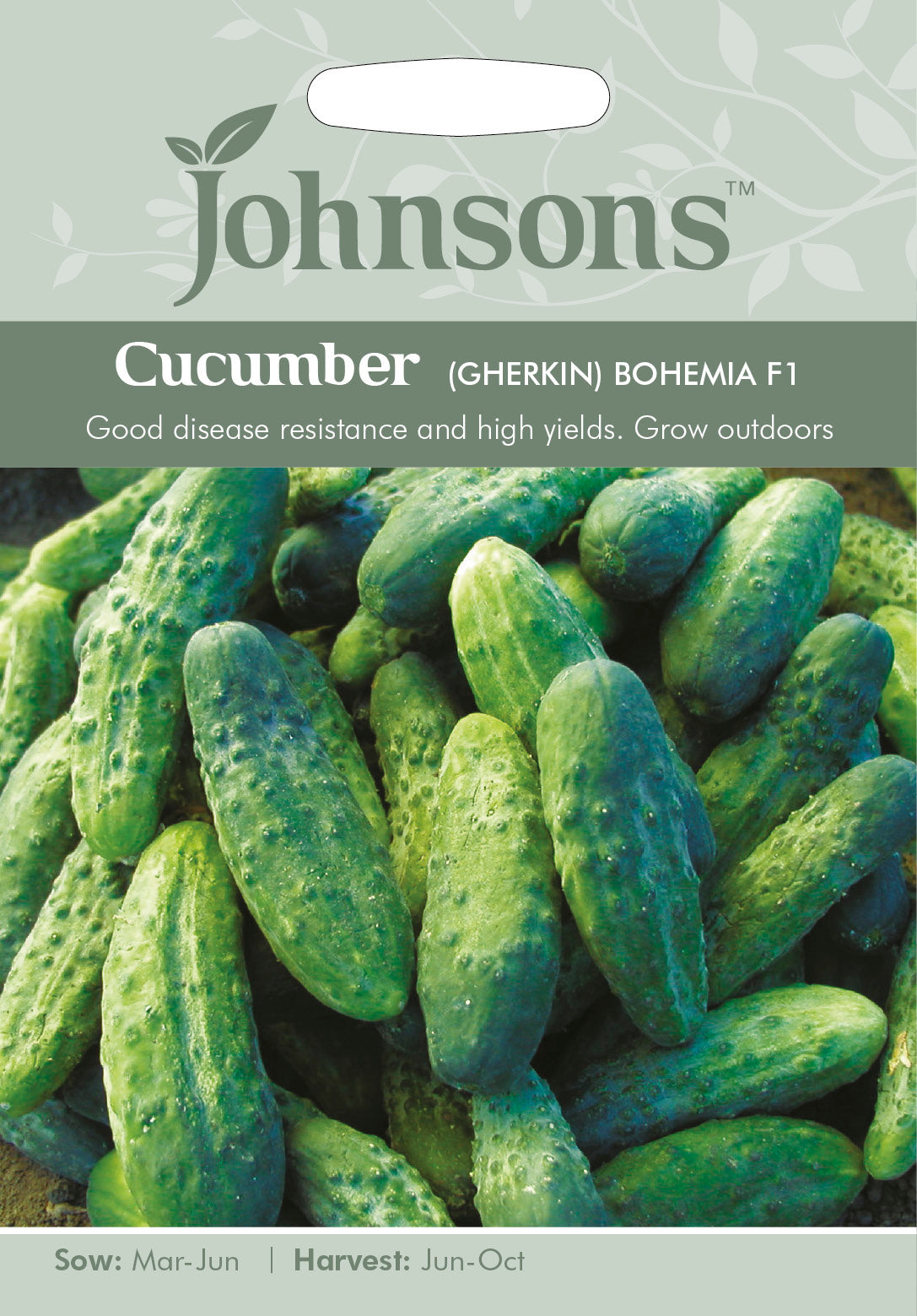 CUCUMBER (Gherkin) Bohemia F1